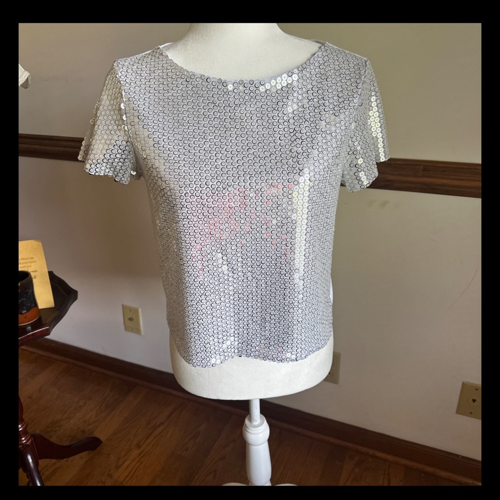 Zara Y2K Silver Sequins Front/Sleeves Only Top Glam Club Wear Rave T-shirt-Sm